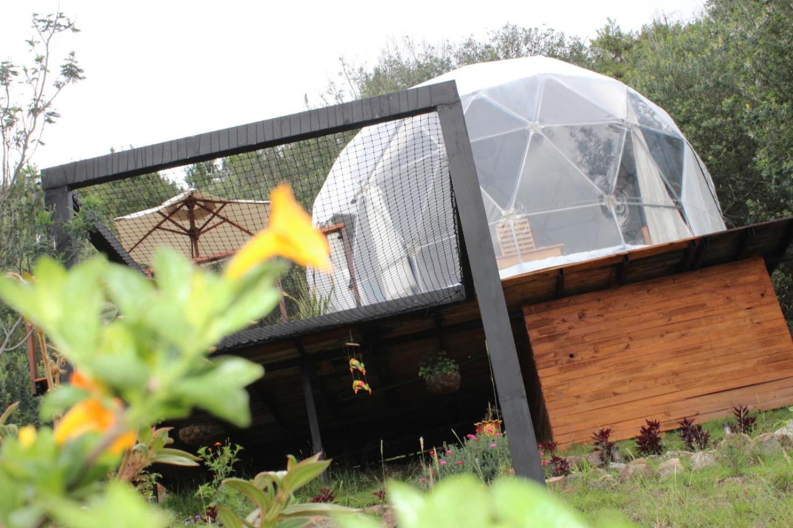 Glamping La Villa Guatavita Ngoại thất bức ảnh