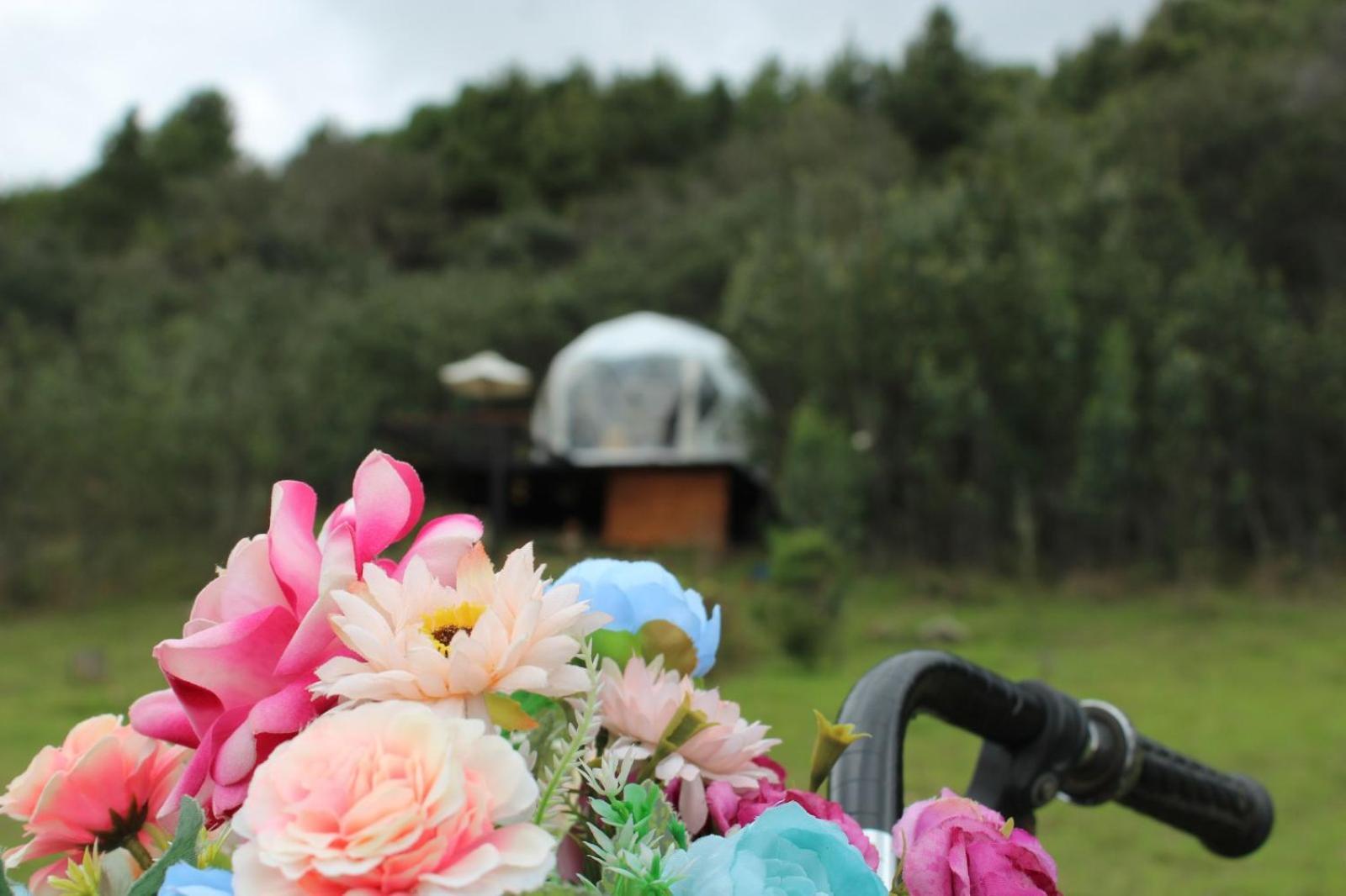 Glamping La Villa Guatavita Ngoại thất bức ảnh