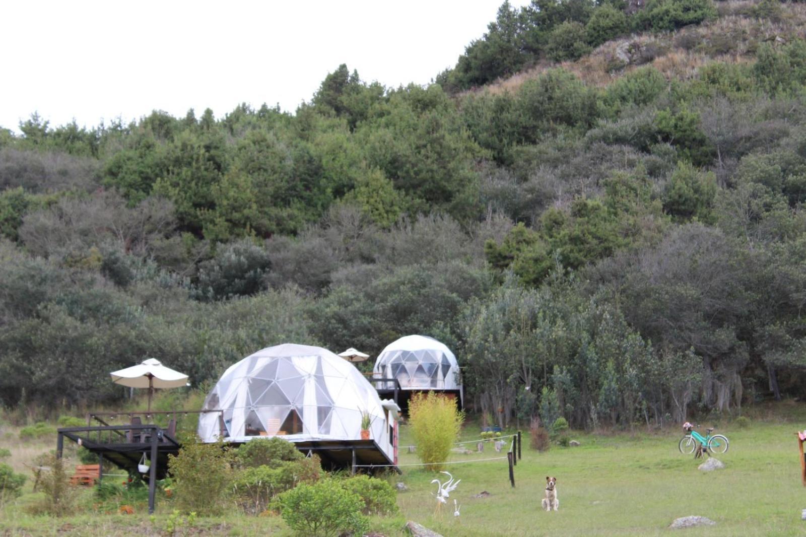 Glamping La Villa Guatavita Ngoại thất bức ảnh